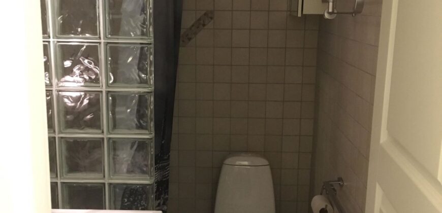 København, Rebæk Søpark, Hvidovre lejlighed øverst