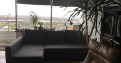 København, Rebæk Søpark, Hvidovre lejlighed øverst