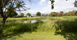 København, Ishøj Strand – stor 1 værelses m/altan og tæt til alt