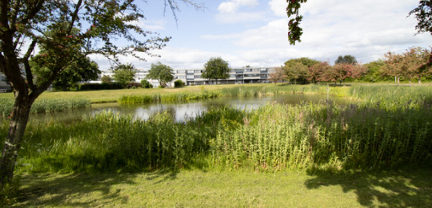 København, Ishøj Strand – stor 1 værelses m/altan og tæt til alt