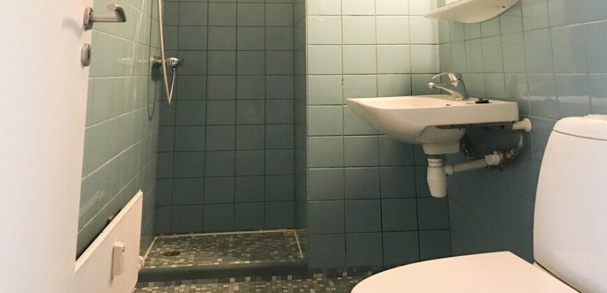 København, Ishøj Strand – stor 1 værelses m/altan og tæt til alt